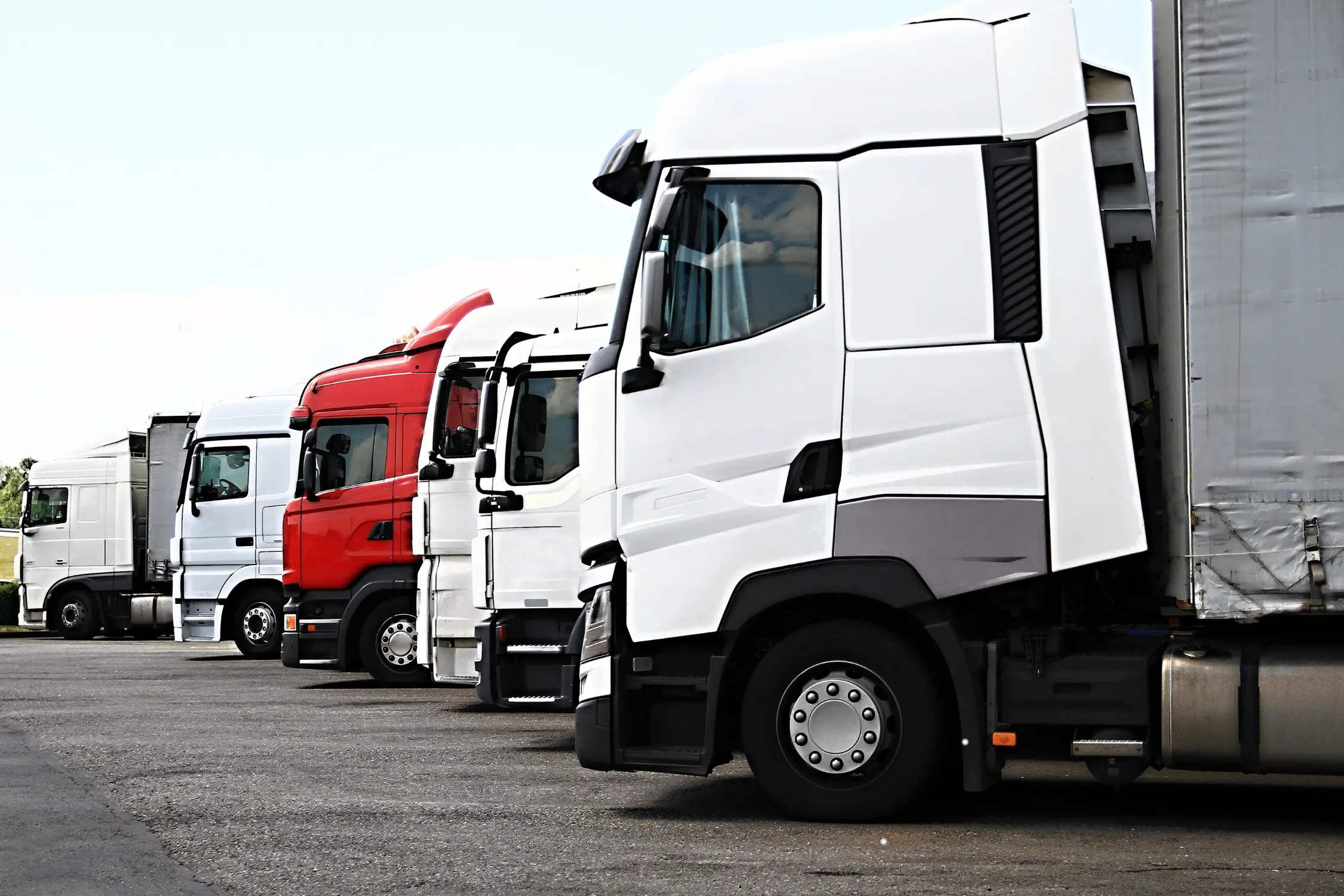 express delivery in Chelmsford